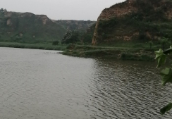 段胡村高家钓场