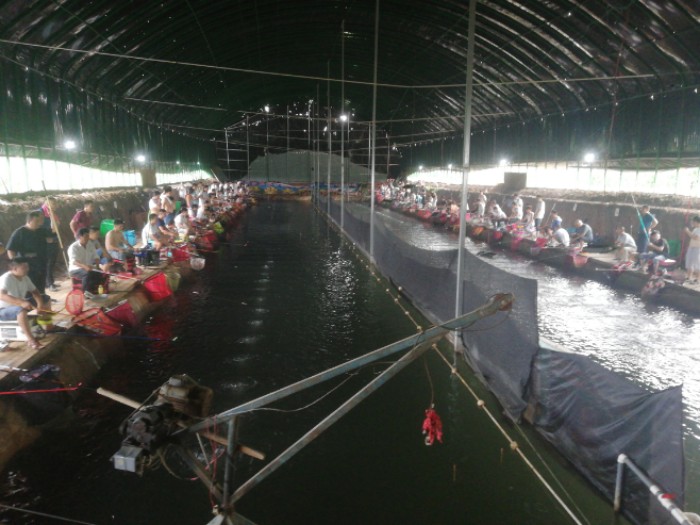 杜谭大棚垂钓园