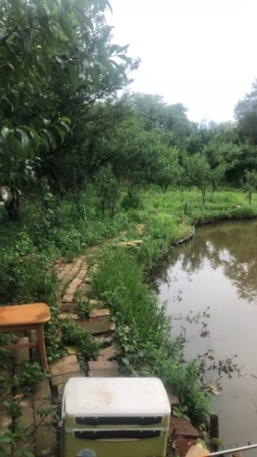 凤栖乌生态农庄