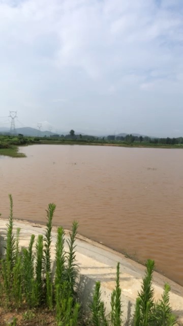 峪山镇杨湾村宋冲方向150米