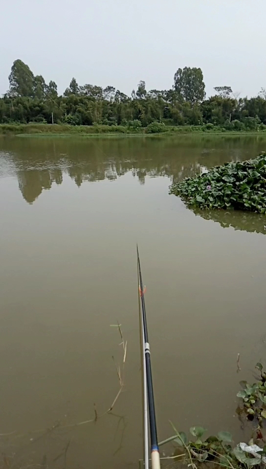 罗江.江湖镇车头坡江段