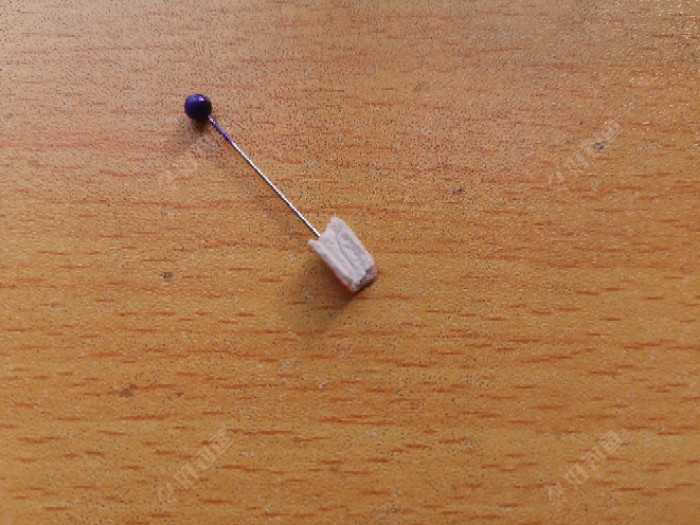 这还行，叫它小紫吧！