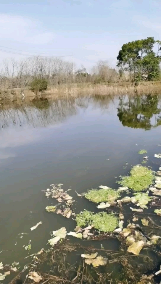 金银湖环湖中路钓场