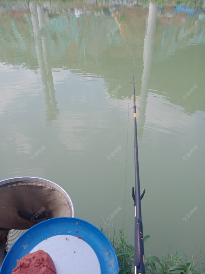 新寻的钓点，今天风平浪静，县气象台预报是2级风。