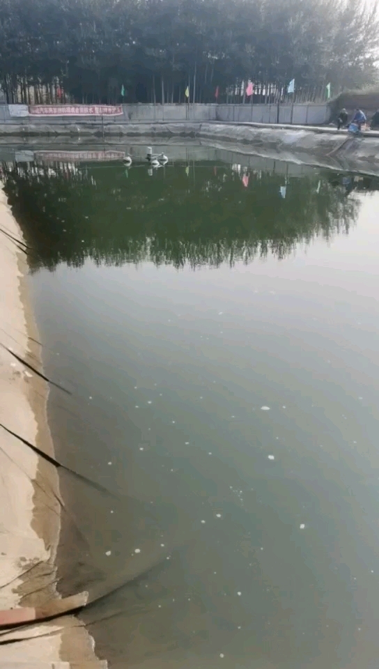 榆次大象小赵垂钓园