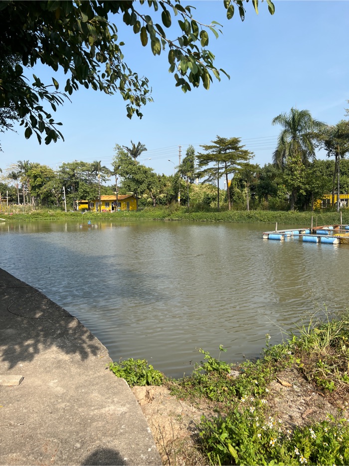 砖头哥海钓基地