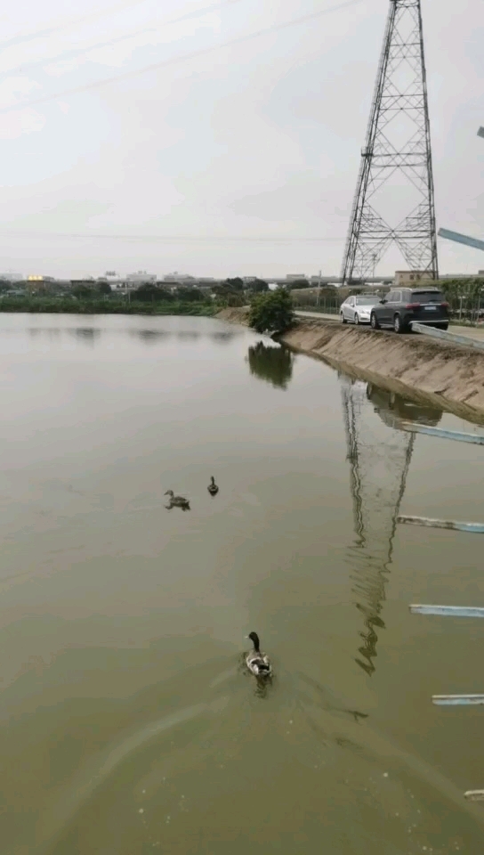 沙田1988咸淡水休闲垂钓场