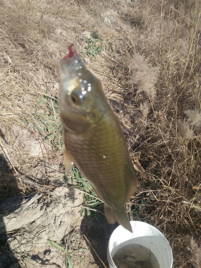 虽然冷西北风不开口但过瘾了