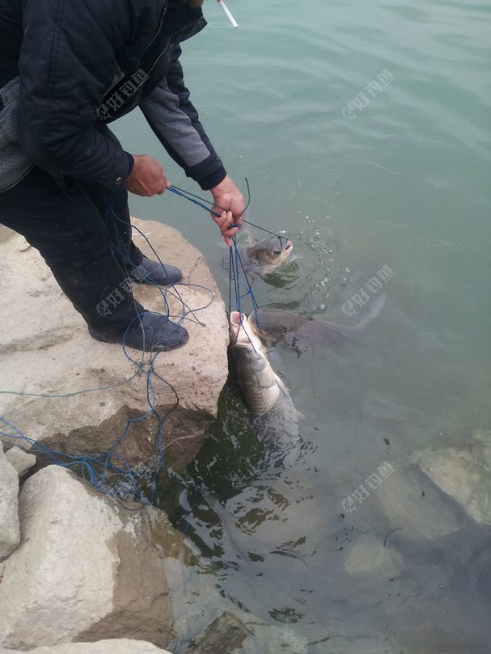 长江三峡野钓 - 好钓鱼