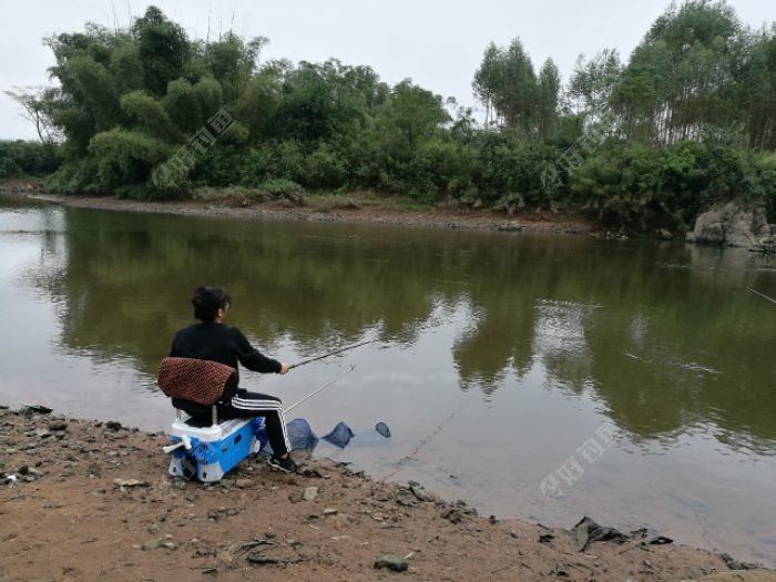 就这样拉白条,没大物 - 好钓鱼