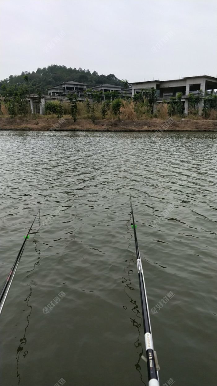 野钩增城挂绿湖 - 好钓鱼
