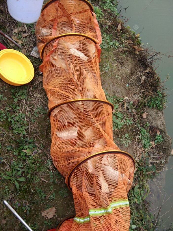 钓场:石阡() 饵料:粒粒成,粘粉,轻敷,小药,神聚大麦红薯膏,步步高,鱼