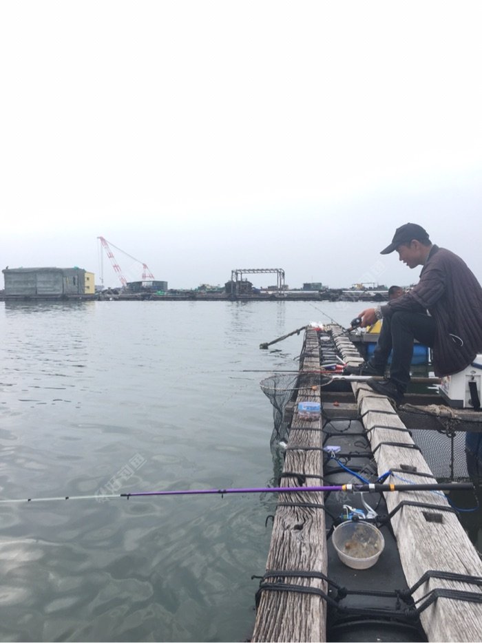 海陵岛鱼排笩钓 - 好钓鱼