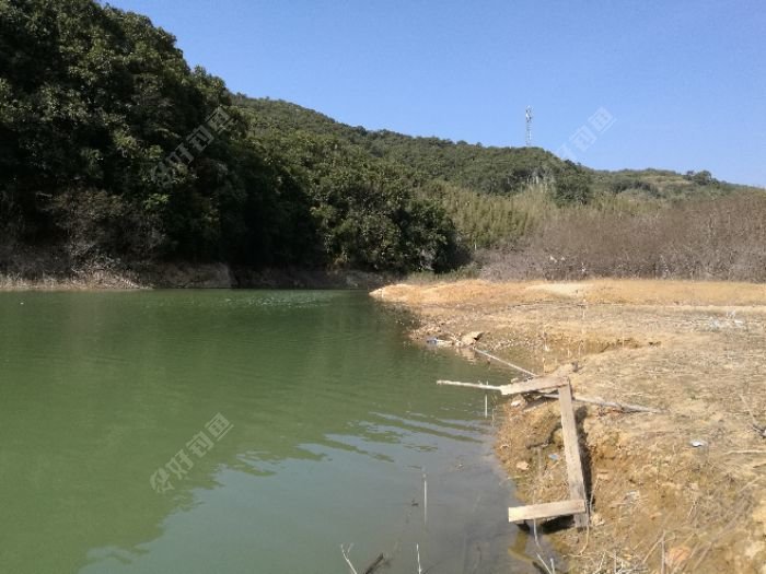 初春试钓从化黄龙带水库 - 好钓鱼
