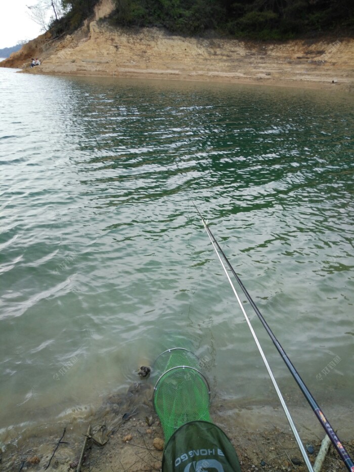 万绿湖野钓. - 好钓鱼