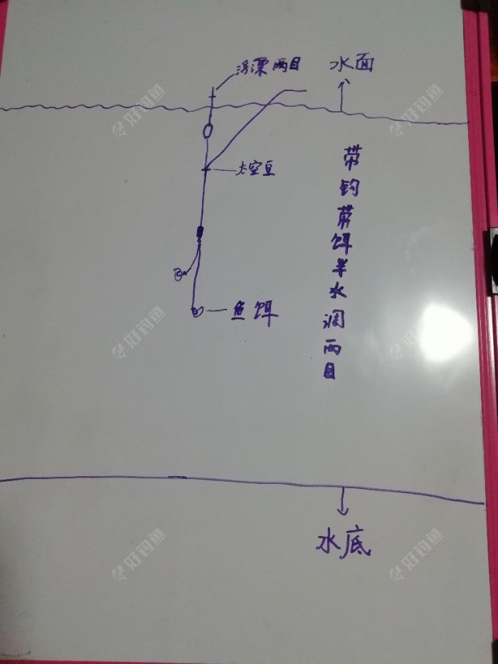 浮钓黄尾鯝之调漂个人见解