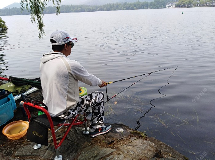 霍邱城西湖钓鱼图片