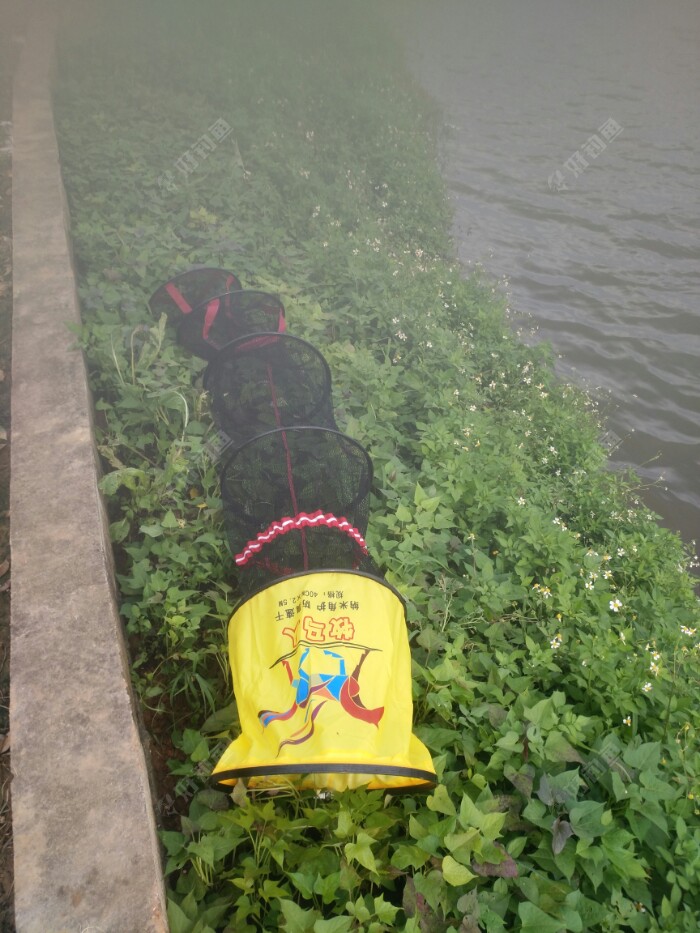 新鱼户开光成功