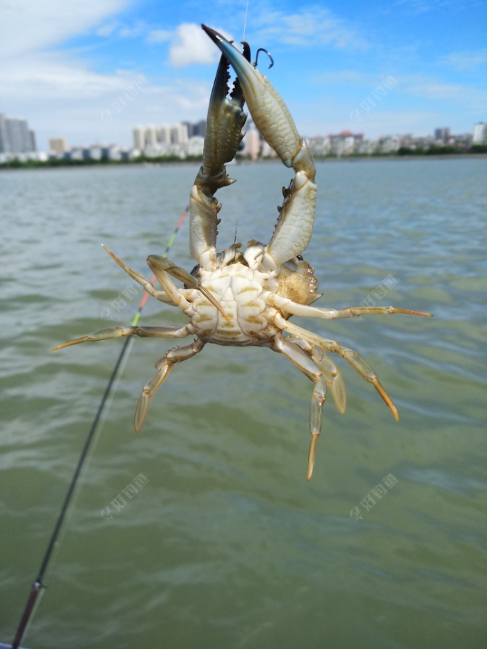 乘风破浪去钓鱼