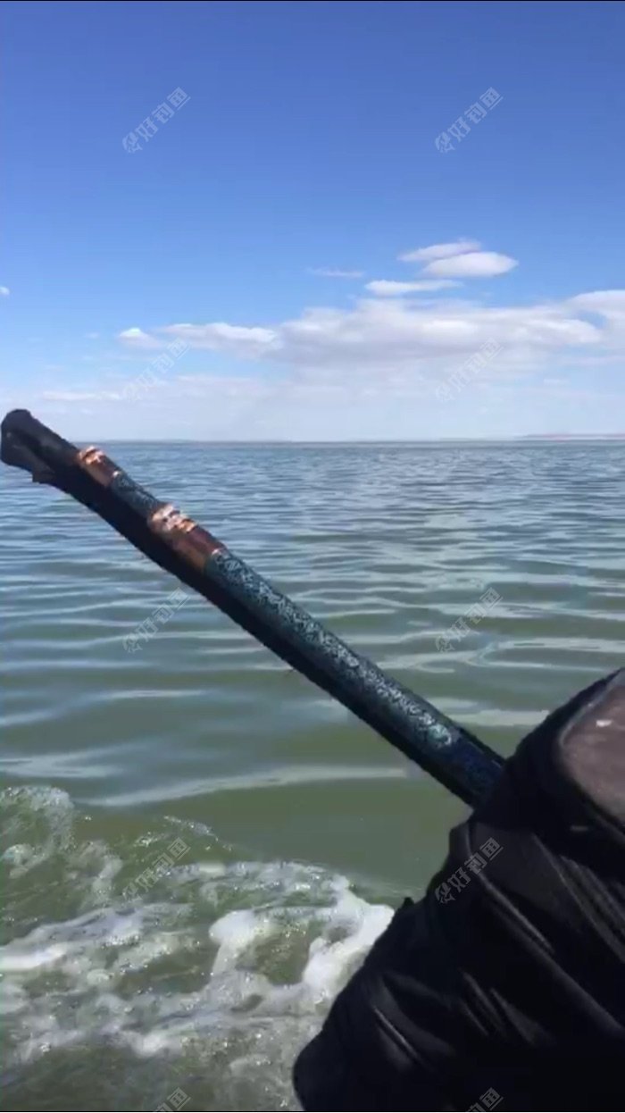 真的钓过瘾了