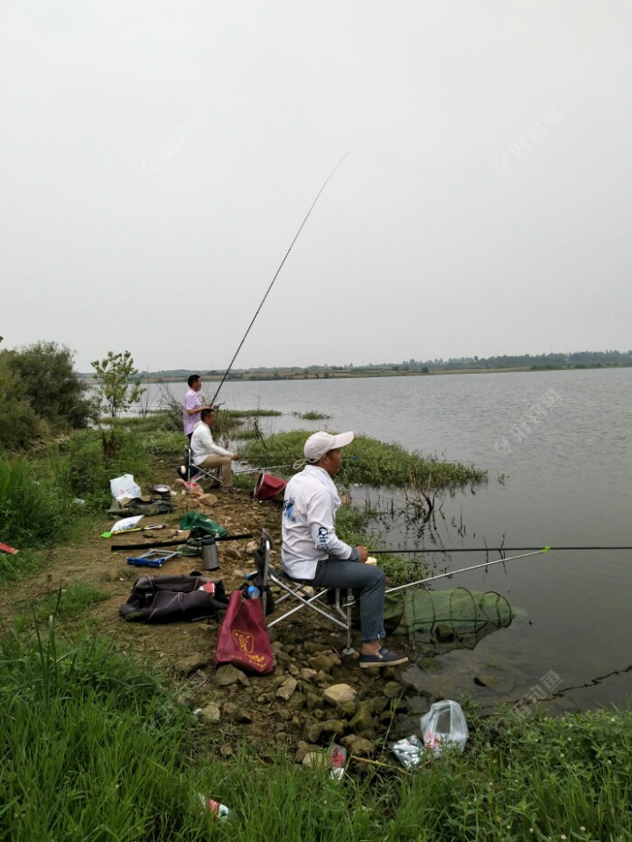 夏天包食釣草魚的線組搭配和用餌技巧