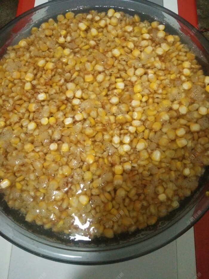 老玉米泡水一天一夜了准备夜战水库拔大物