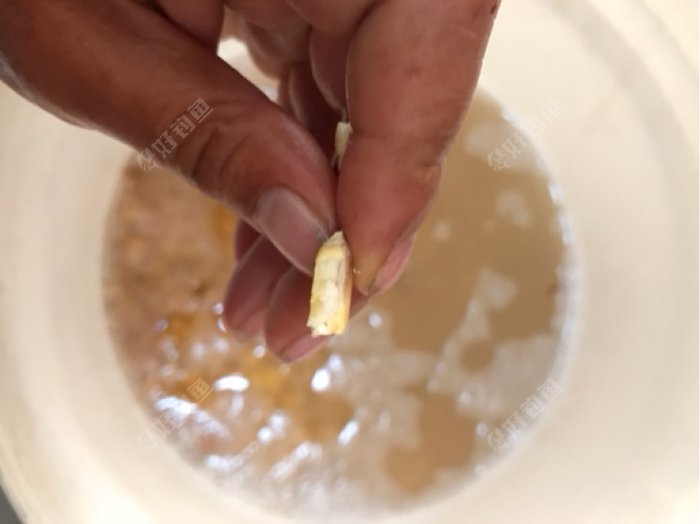 先泡十斤再说 泡了一天一夜 咬一下 嘿感觉不错。起锅烧油。开玩笑啊 各位钓友 千万得注意 不能有油 不能有油 不然会臭的