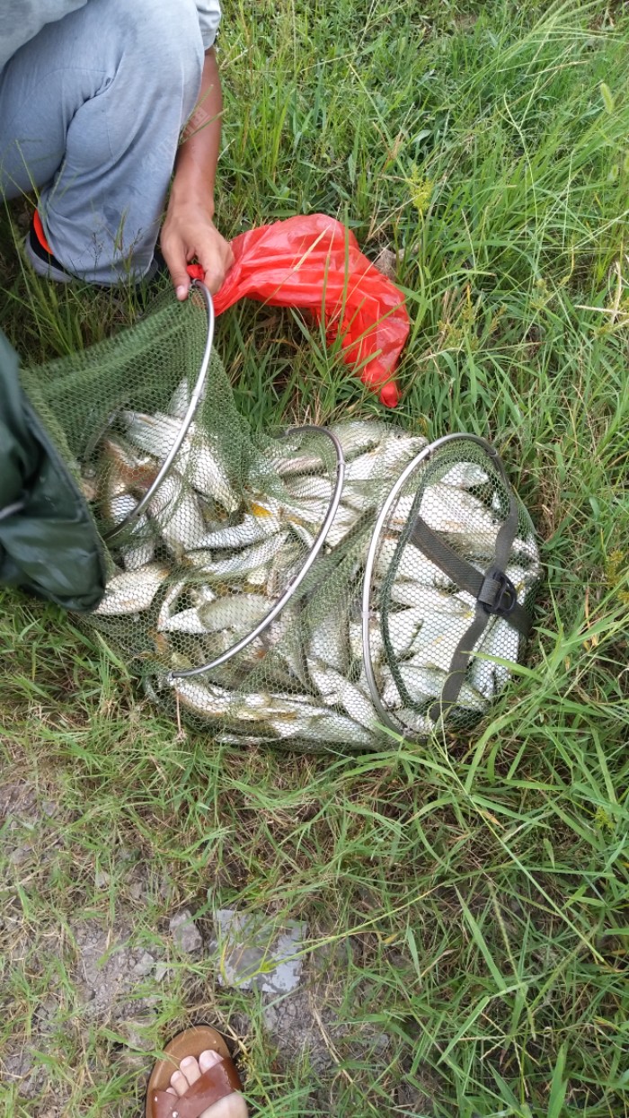 万佛湖试钓 - 好钓鱼