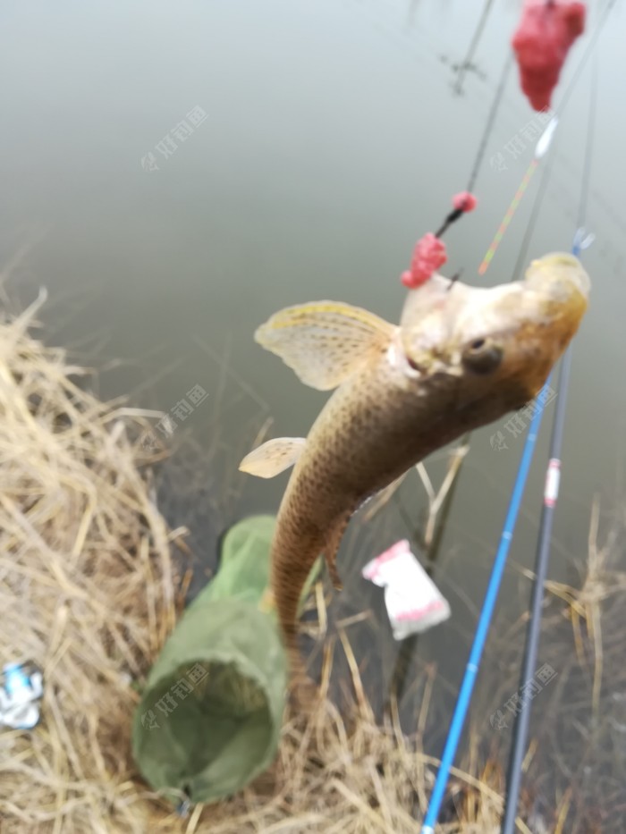 就车祸一条沙扒