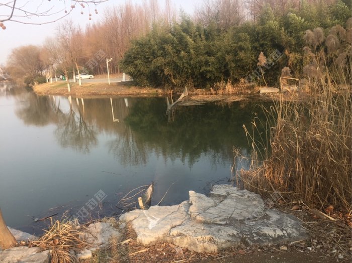 最好的钓位，看来还要再等一个多月就热闹无比啦。