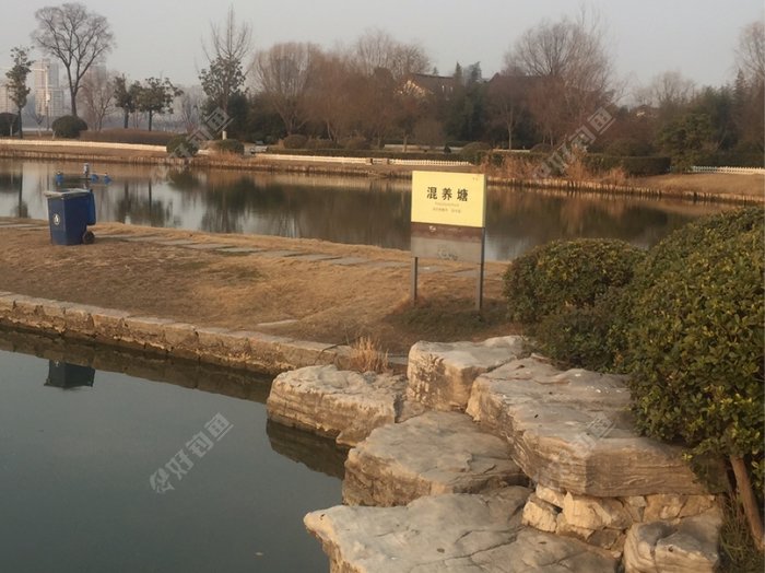 这也是湿养池