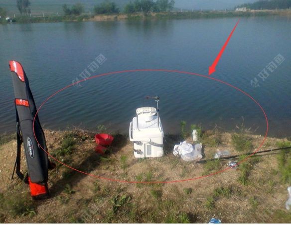 新年好浅谈钓位的选择