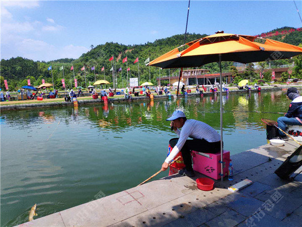 原创临湘国际垂钓中心再展赛事风采
