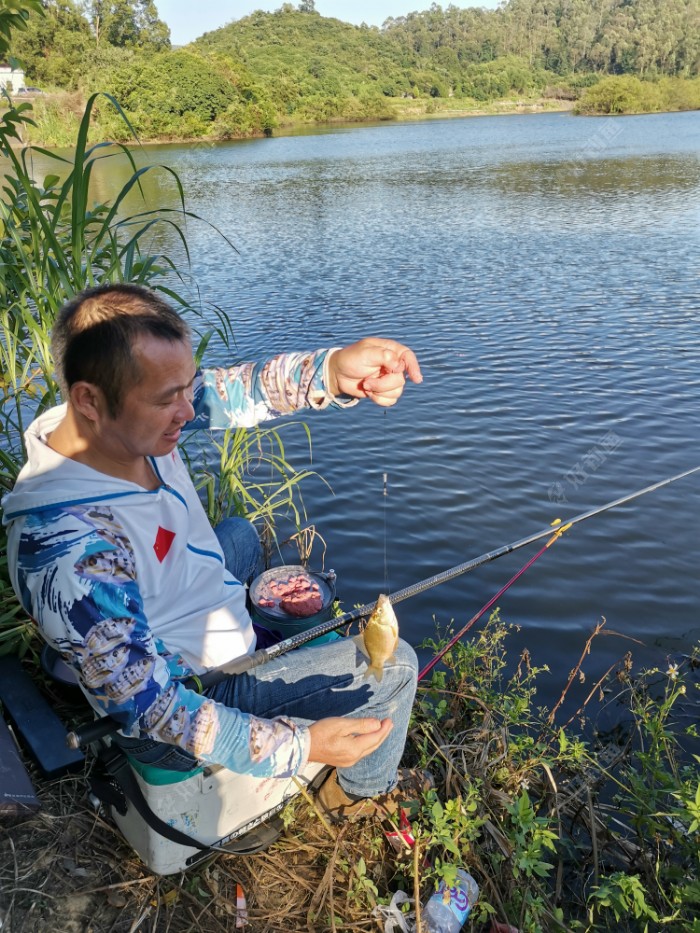 久久戰隊水庫行垂釣娛樂休閒及教學基地