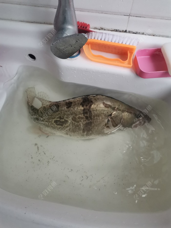 2020年初学路亚的年终总结