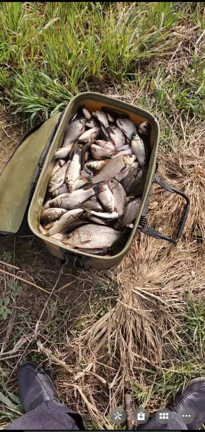 辛丑年初三换老菜地爆护